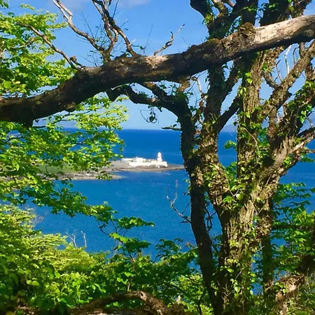 Fuchsia House * Knights Town