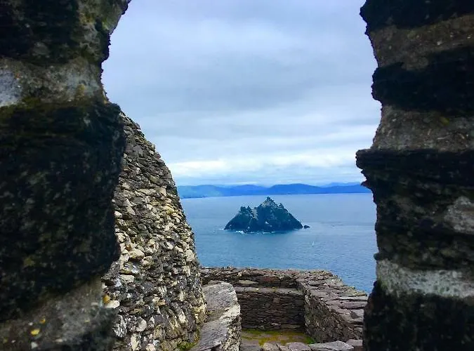 度假居 Fuchsia House