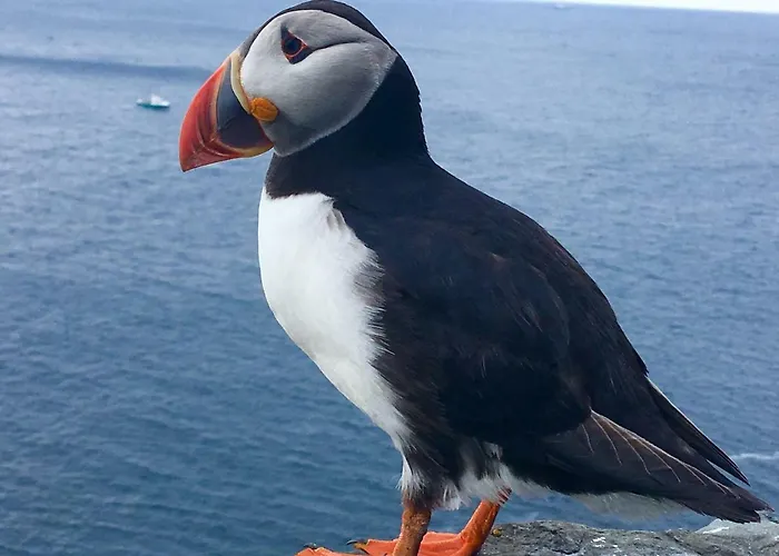 Casa vacanze Fuchsia House