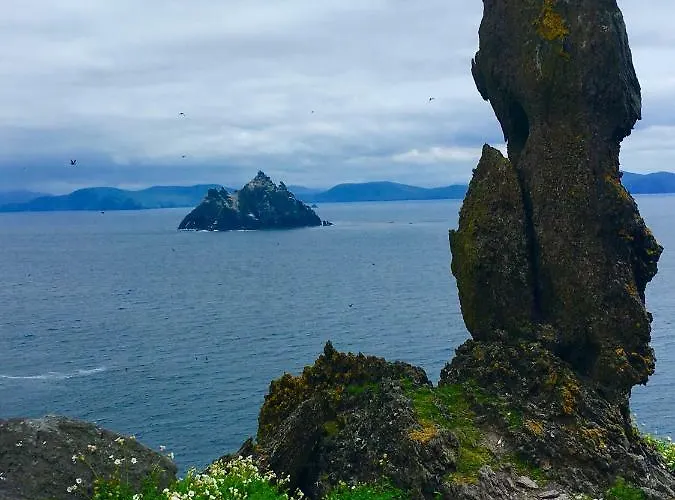 Fuchsia House Knights Town