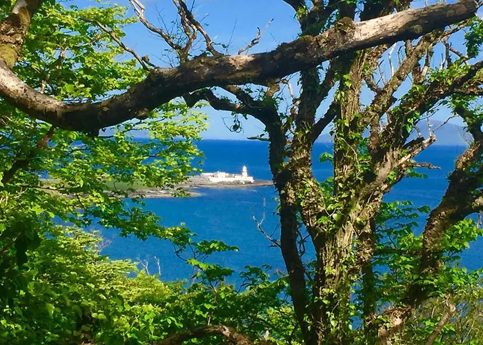 Fuchsia House * Knights Town